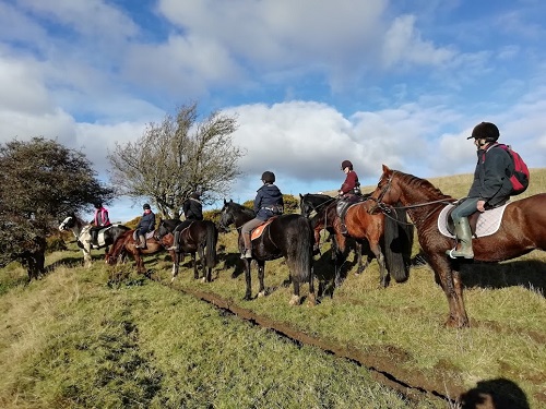 Trail ride out in the welsh mountains at Bryngwyn riding centre