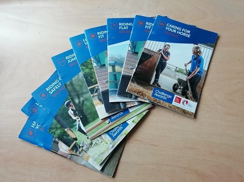 Bryngwyn BHS challenge award leaflets