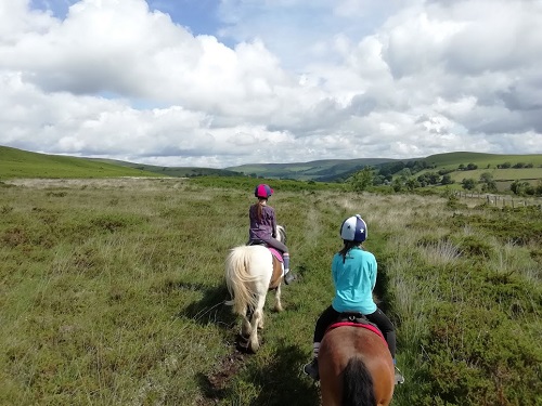 Children hacking horses