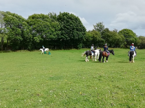 Cross country jump lesson