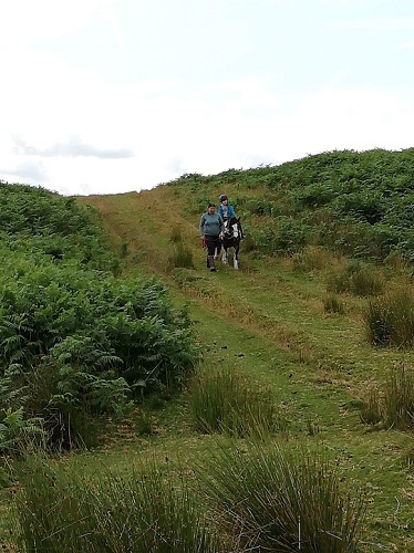 Lead rein hack in wales