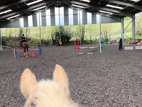 Indoor school at bryngwyn riding centre
