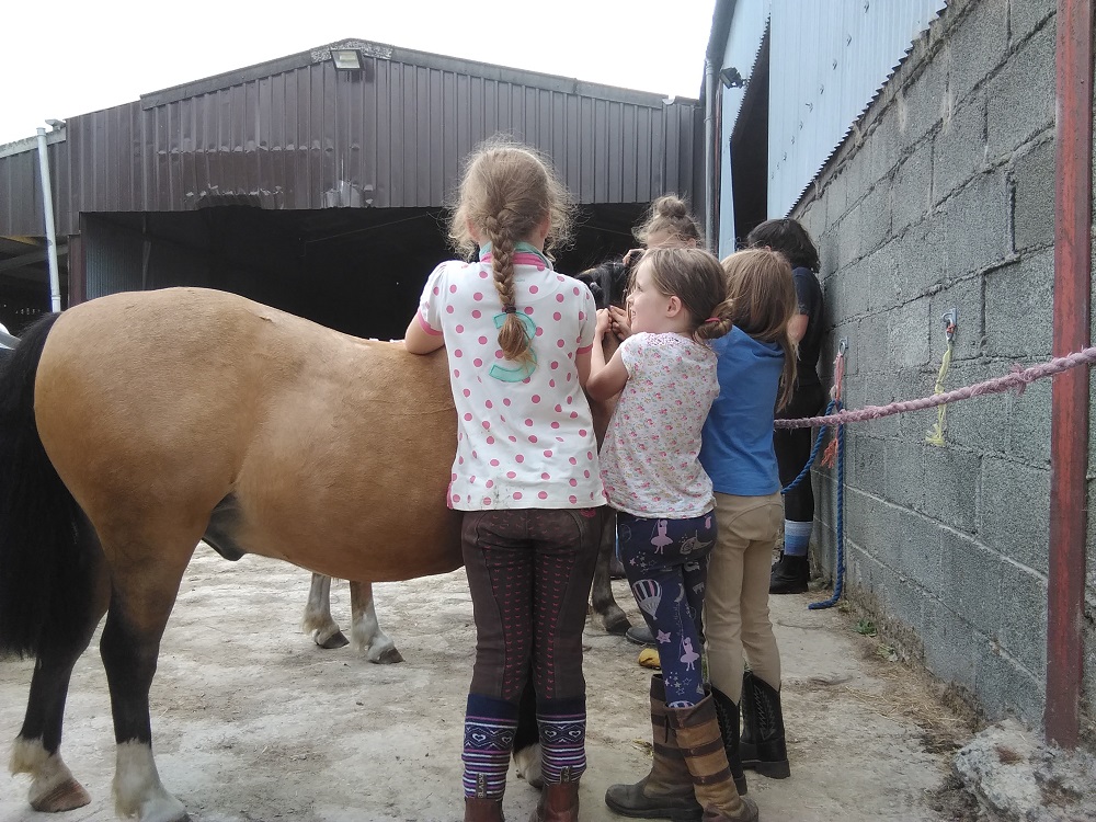 Girls riding horses in welsh mountains