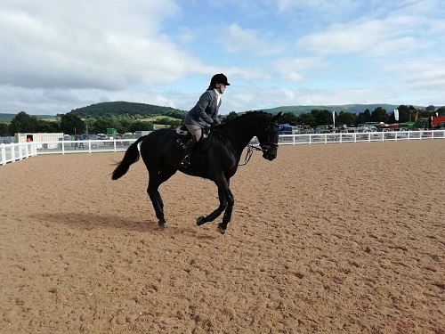 Dressage event at bryngwyn