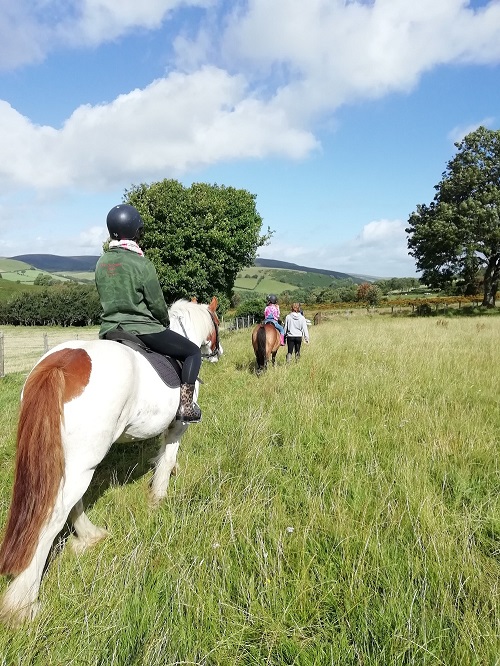 Tea and cakes at bryngwyn riding centre